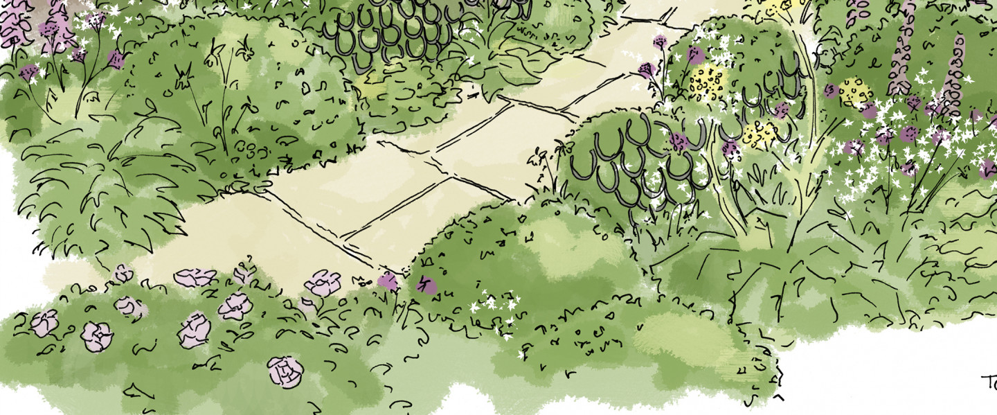 Part of the garden design drawings by Tamara Bridge for The Three Horseshoes in Briston 
