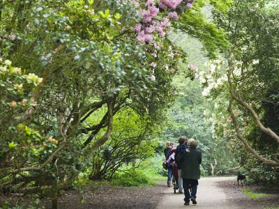 National Trust ©Megan Taylor