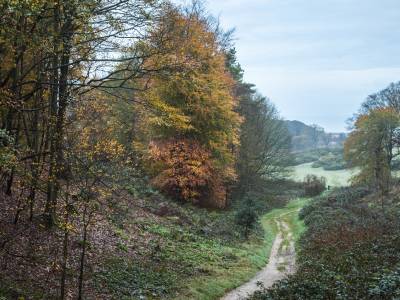 National Trust ©Justin Minns